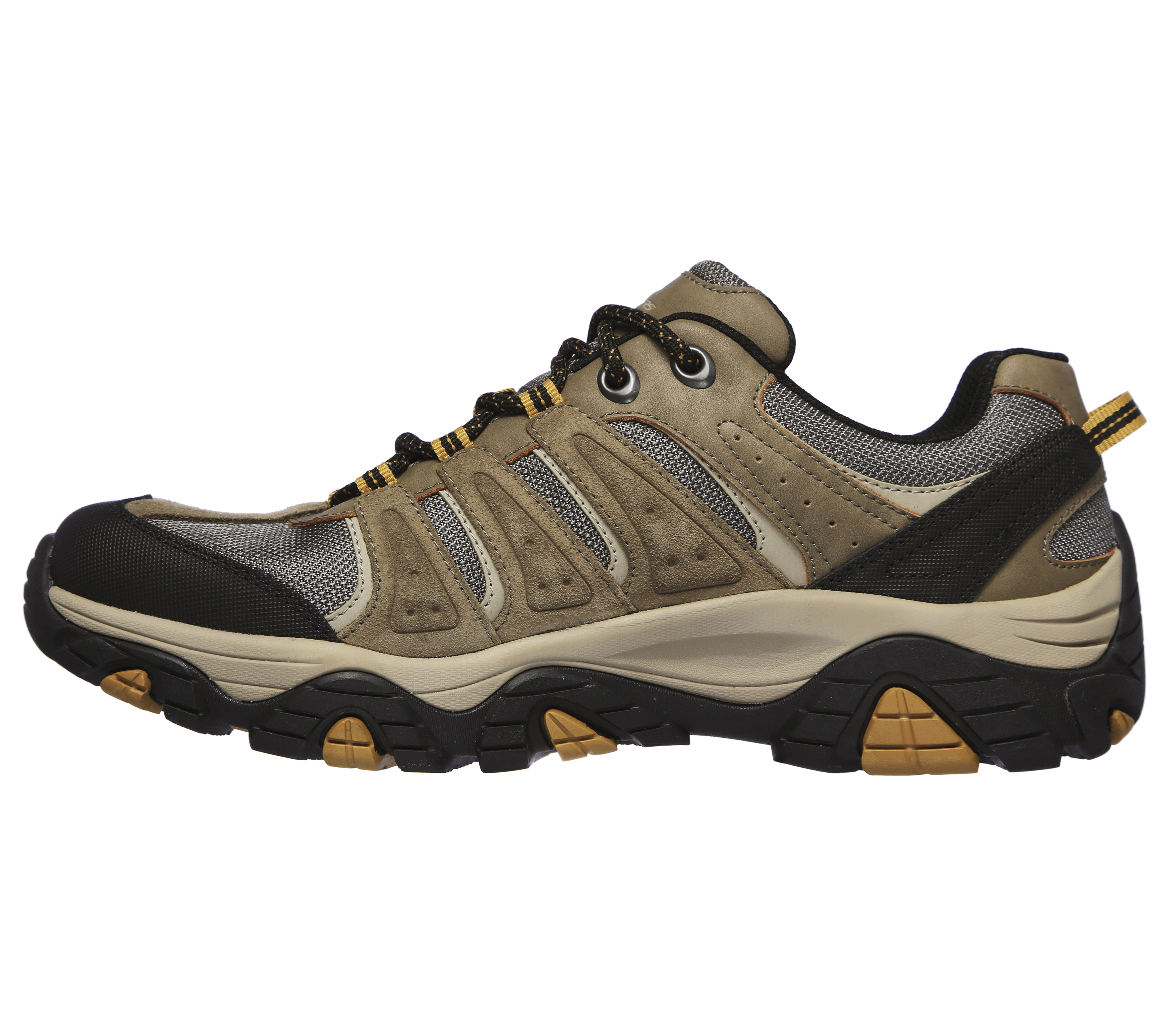 skechers pine trail